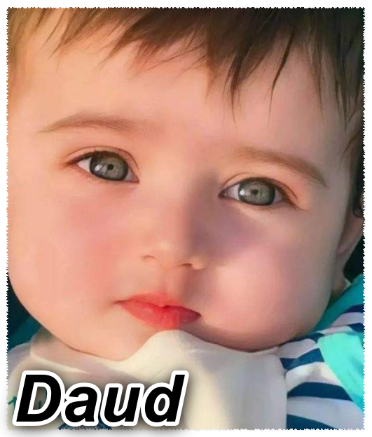 Daud Name Meaning in Urdu – داؤد