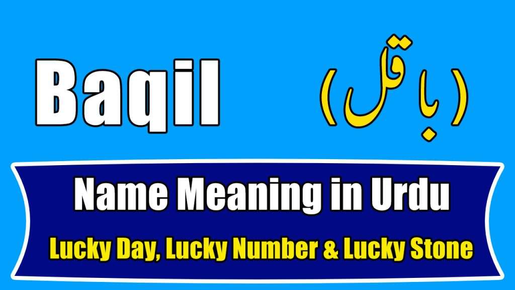 Baqil Name Meaning in Urdu (Boy Name - باقل)