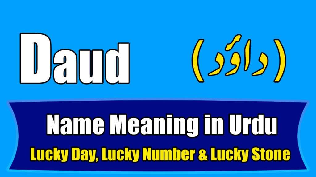 Daud Name Meaning in Urdu – داؤد