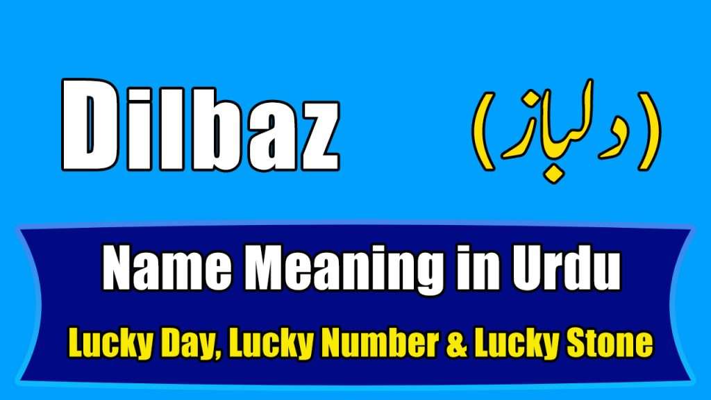 Dilbaz Name Meaning in Urdu (Boy Name دلباز)